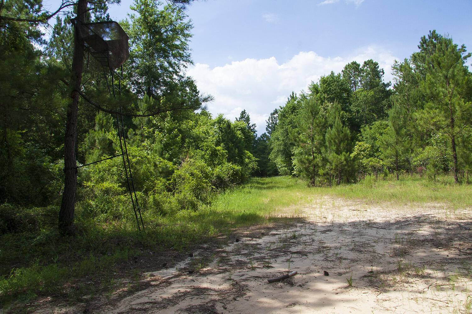Hephzibah, GA 30815,1515D HEPHZIBAH - MCBEAN RD
