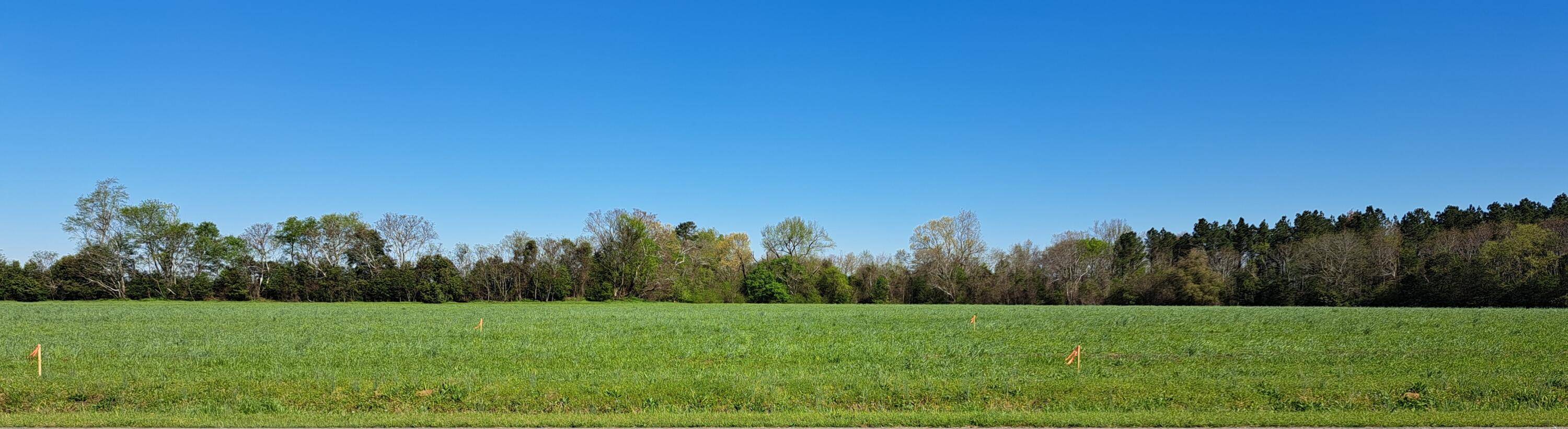 Hephzibah, GA 30815,1009 PREMIER DR