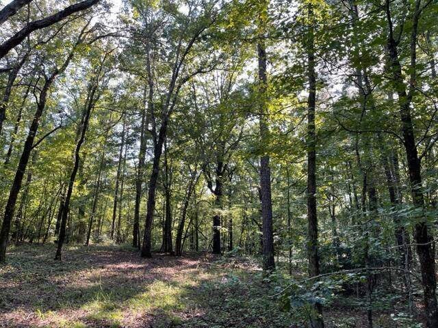 Evans, GA 30809,2556 FALLING BRANCH LN