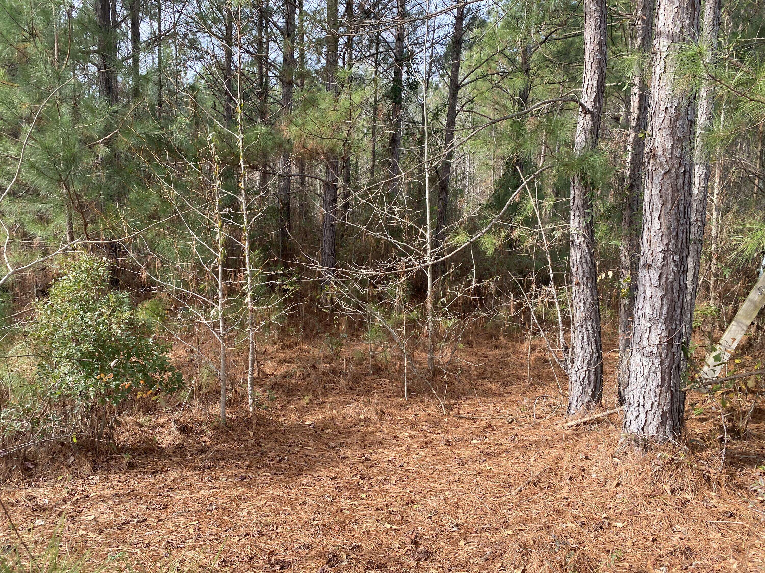 Dearing, GA 30808,0 ADAMS-REEVES RD