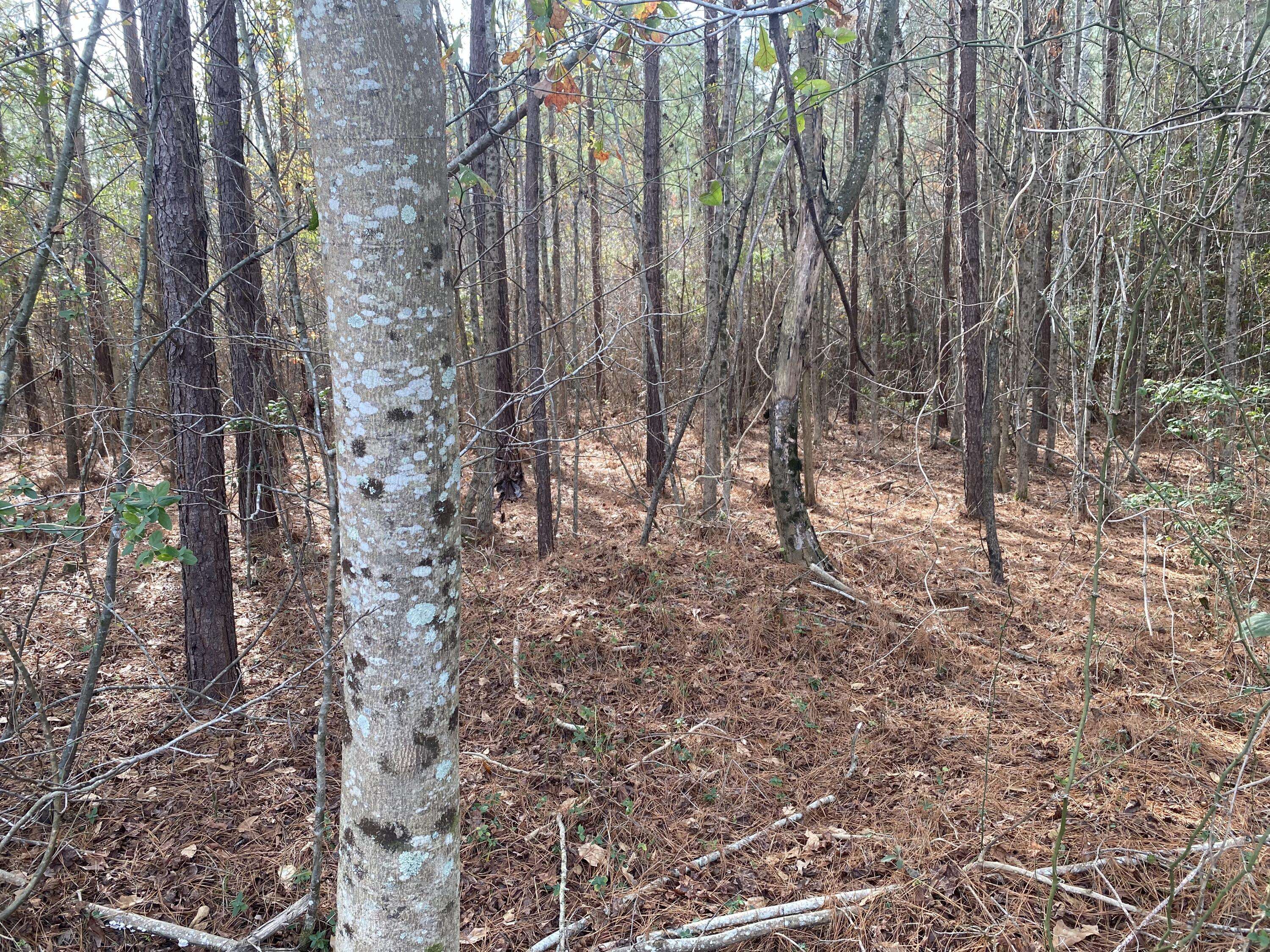 Dearing, GA 30808,0 ADAMS-REEVES RD
