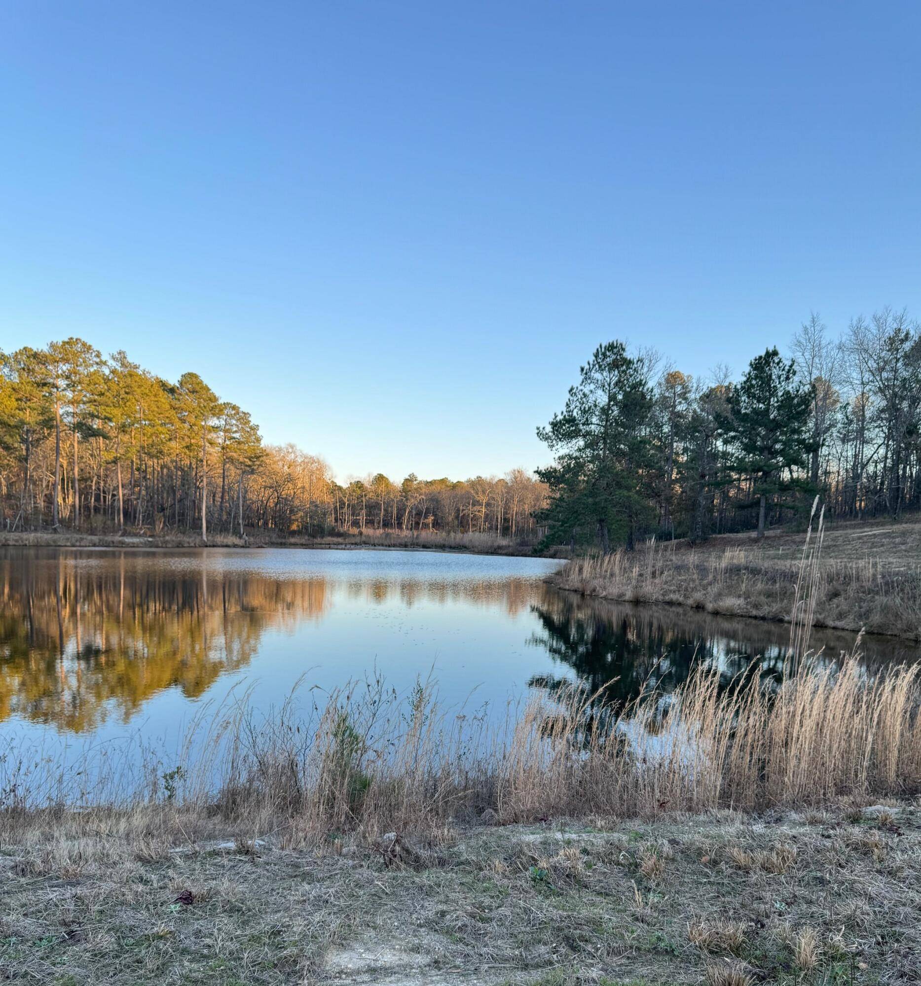 Dearing, GA 30808,00 MITCHNER ROAD