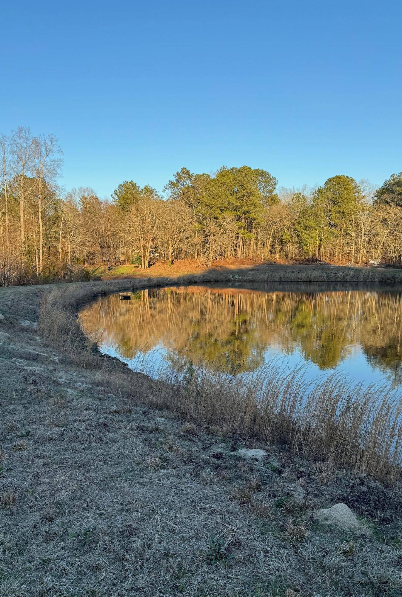 Dearing, GA 30808,00 MITCHNER ROAD
