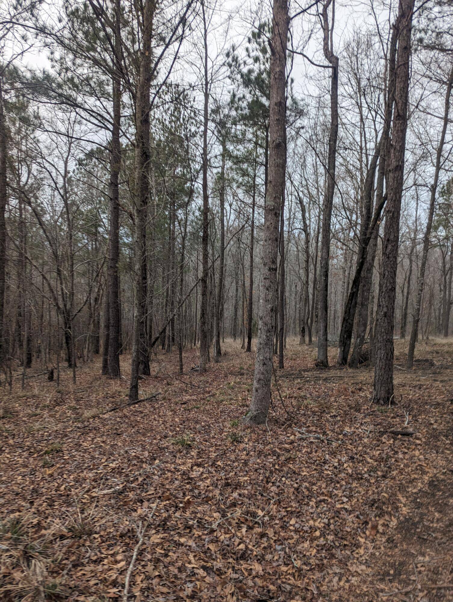 North Augusta, SC 29860,LOT G-12 JAMES BOOTH'S CT