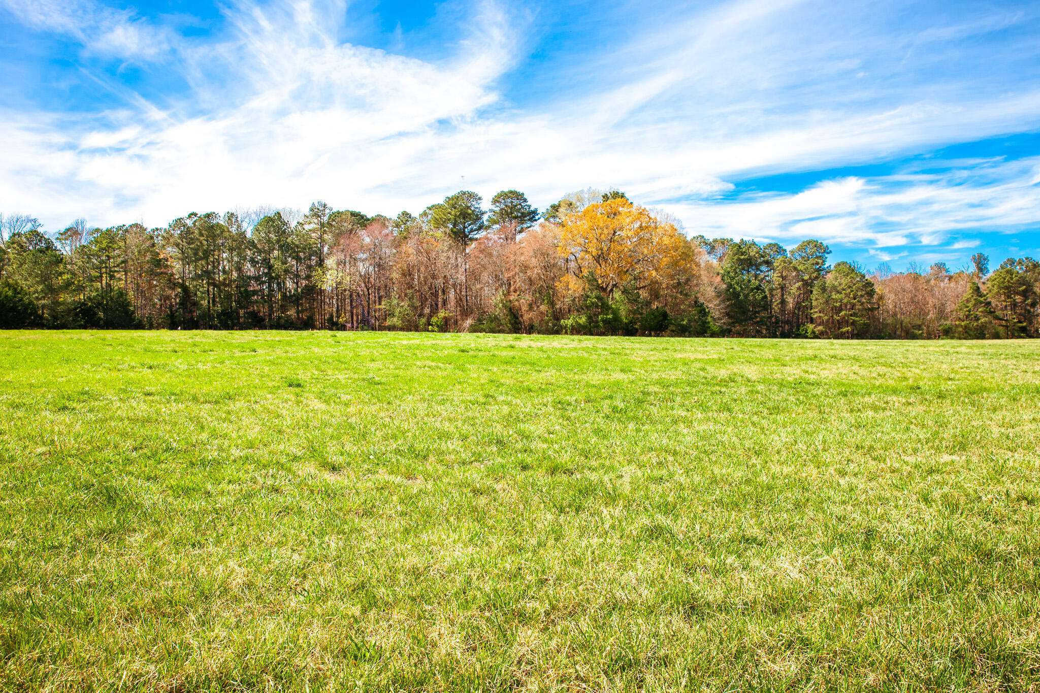 Appling, GA 30802,LOT 2 MISTLETOE RD