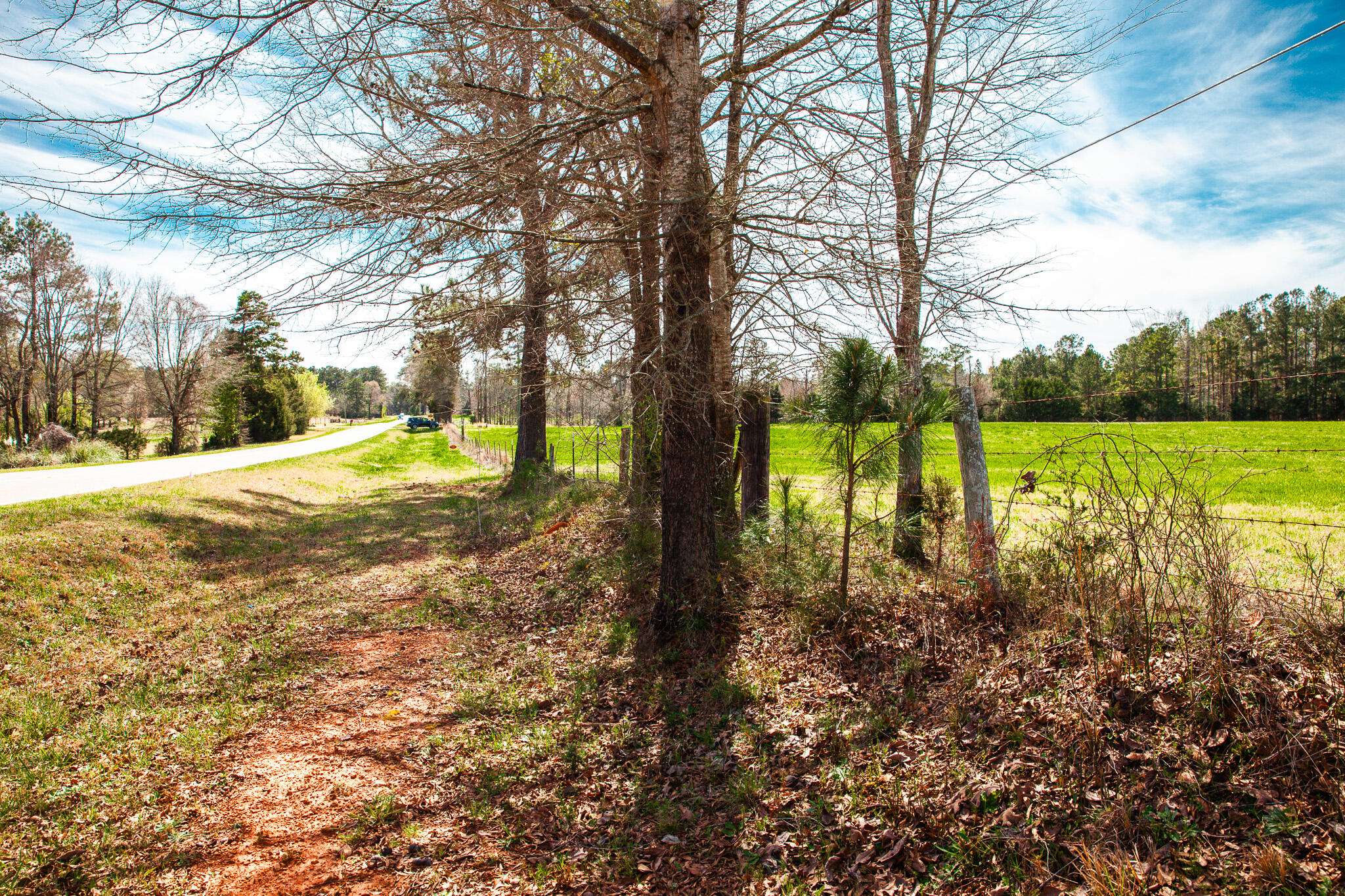 Appling, GA 30802,LOT 2 MISTLETOE RD