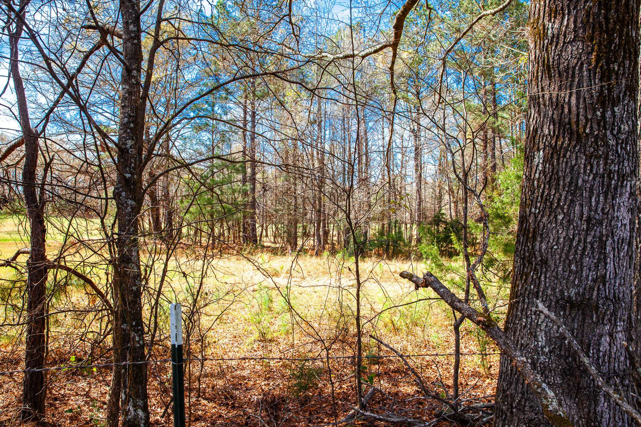 Appling, GA 30802,LOT 8 MISTLETOE RD