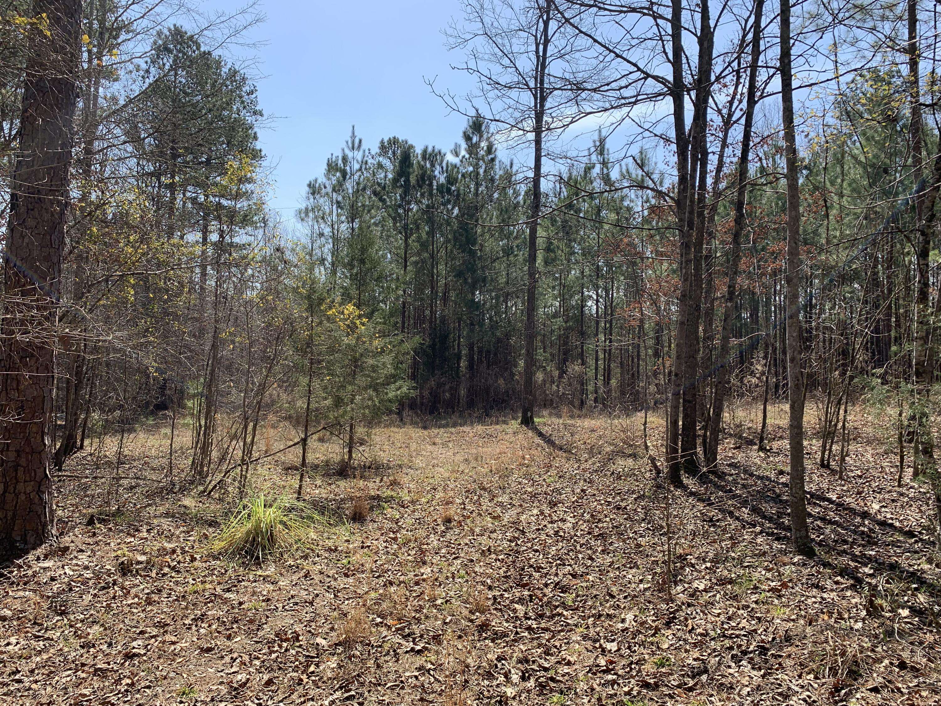 Thomson, GA 30824,1403 TANYARD CREEK DR