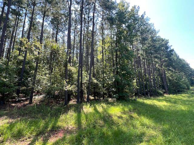 Lincolnton, GA 30817,LOT 16 S POINTE CV