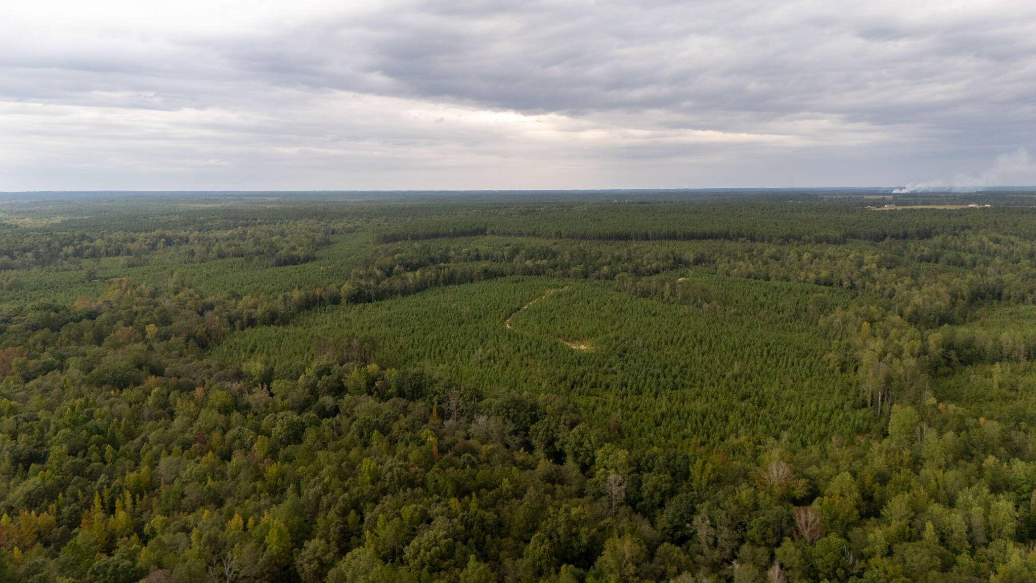 Trenton, SC 29847,0 JOHNSTON HWY