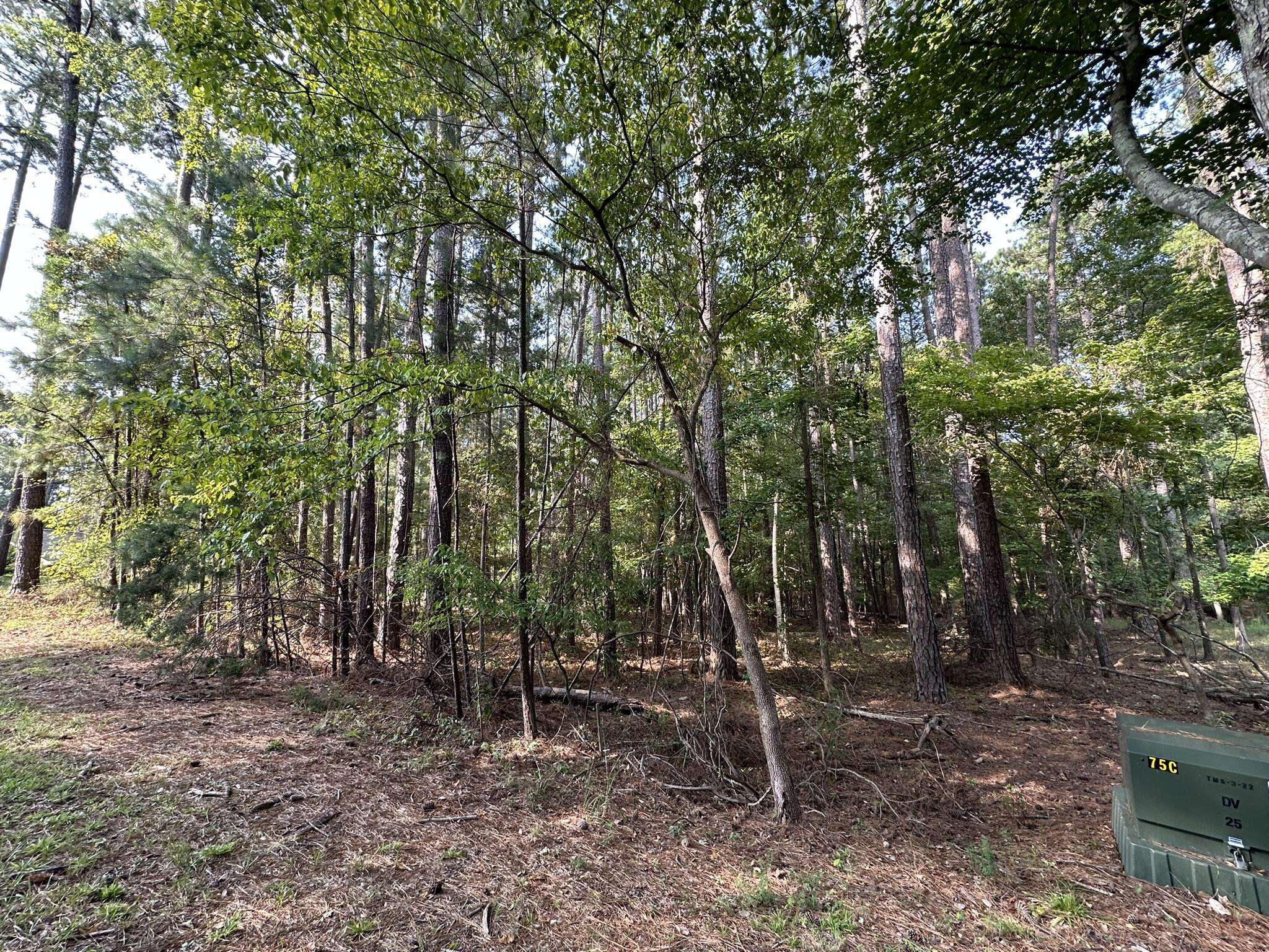 Mccormick, SC 29835,B14 L5 TARA DR