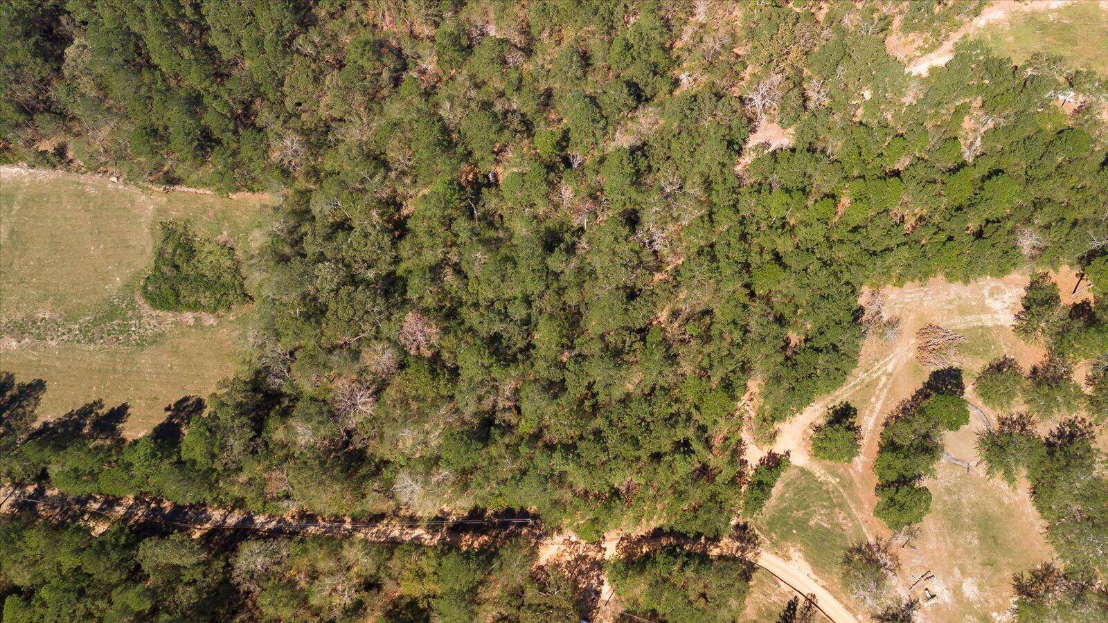 Warrenville, SC 29851,55 POTTER LN