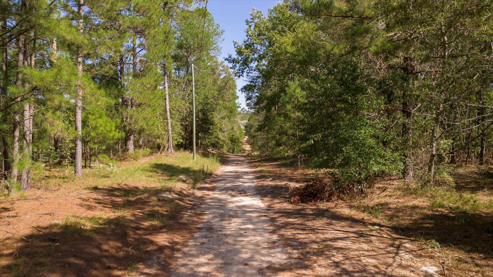 Warrenville, SC 29851,55 POTTER LN