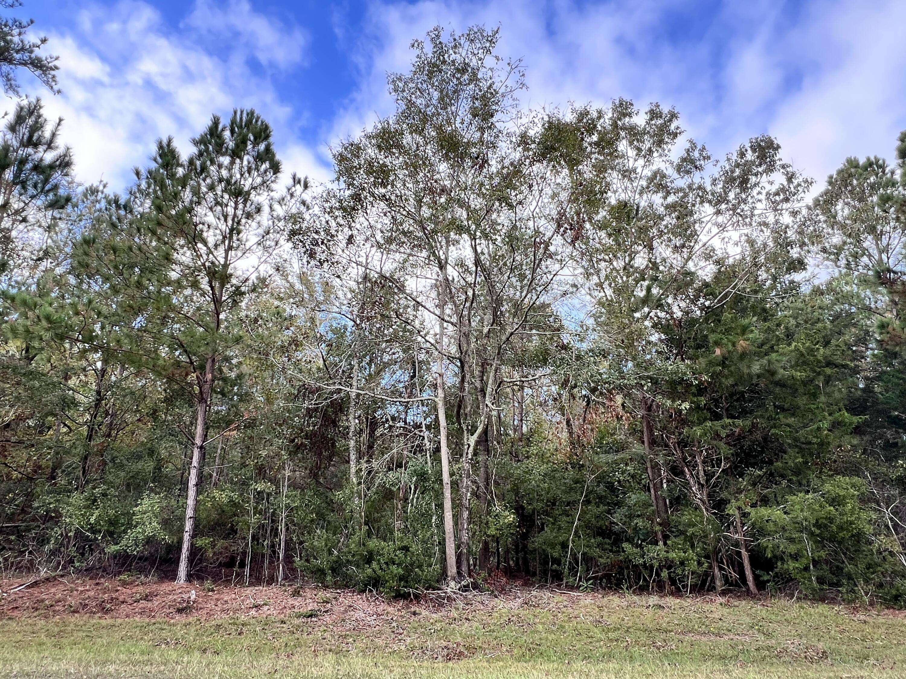 Appling, GA 30802,LOT 1 B&C RIDGE RD