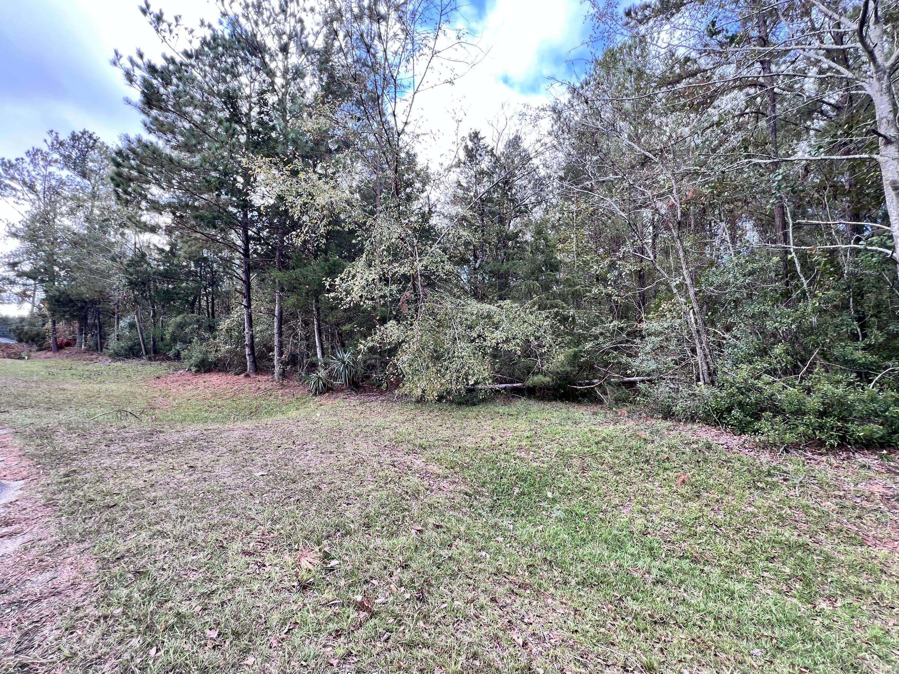 Appling, GA 30802,LOT 1 B&C RIDGE RD