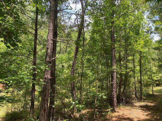 North Augusta, SC 29841,0 MOORE RD
