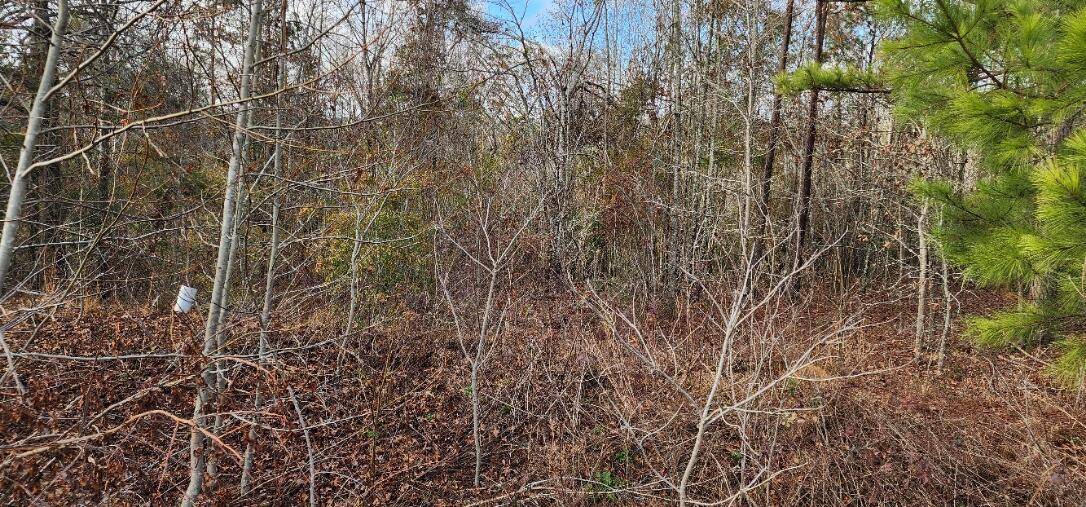Hephzibah, GA 30815,2664 NEW HOPE CIR