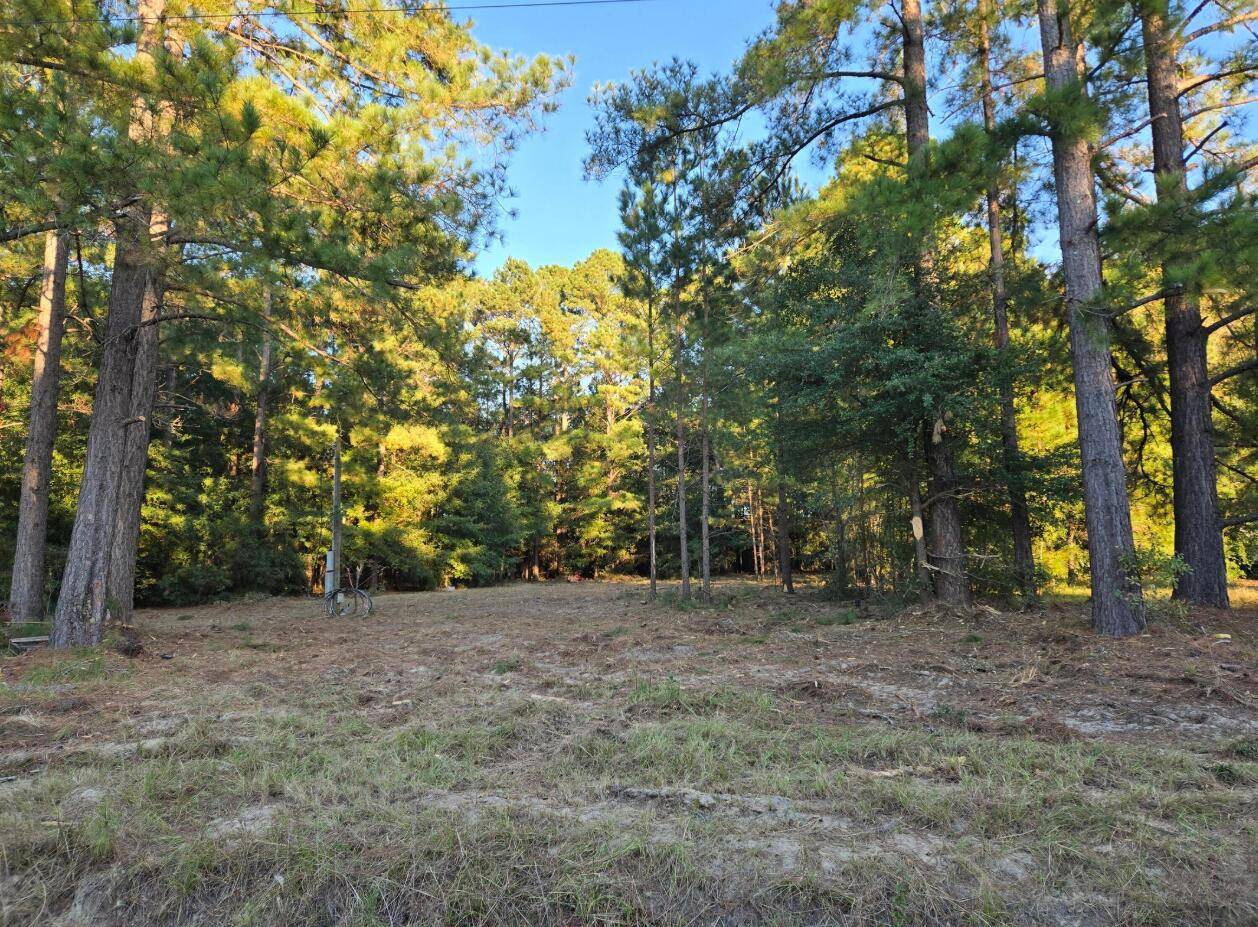 Jackson, SC 29831,00 JACKSON RD