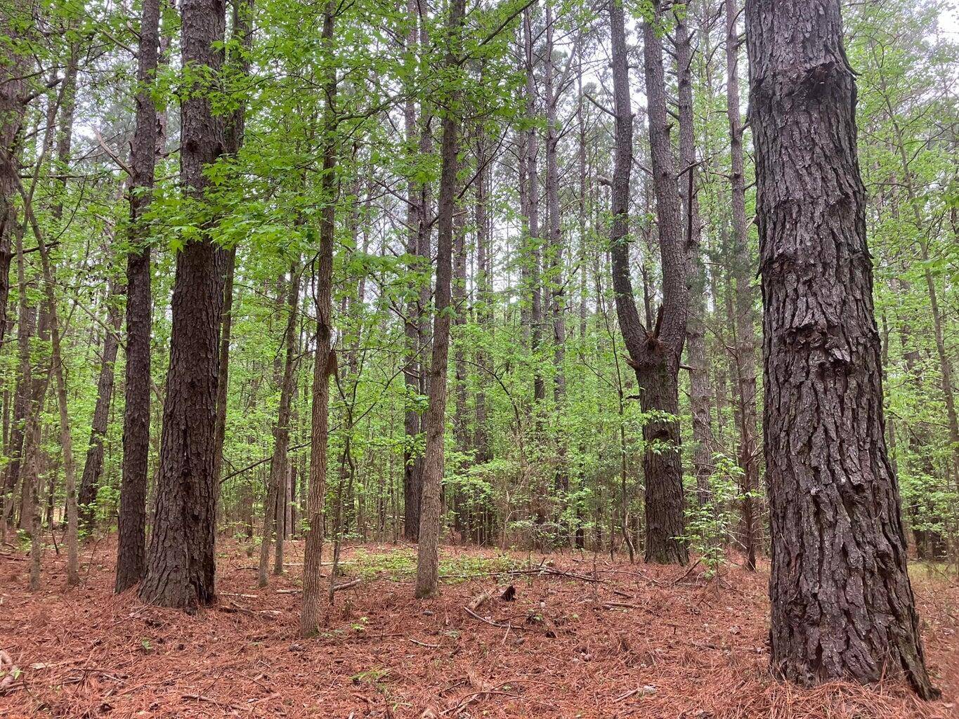 Appling, GA 30802,925 NEPTUNE TRAIL