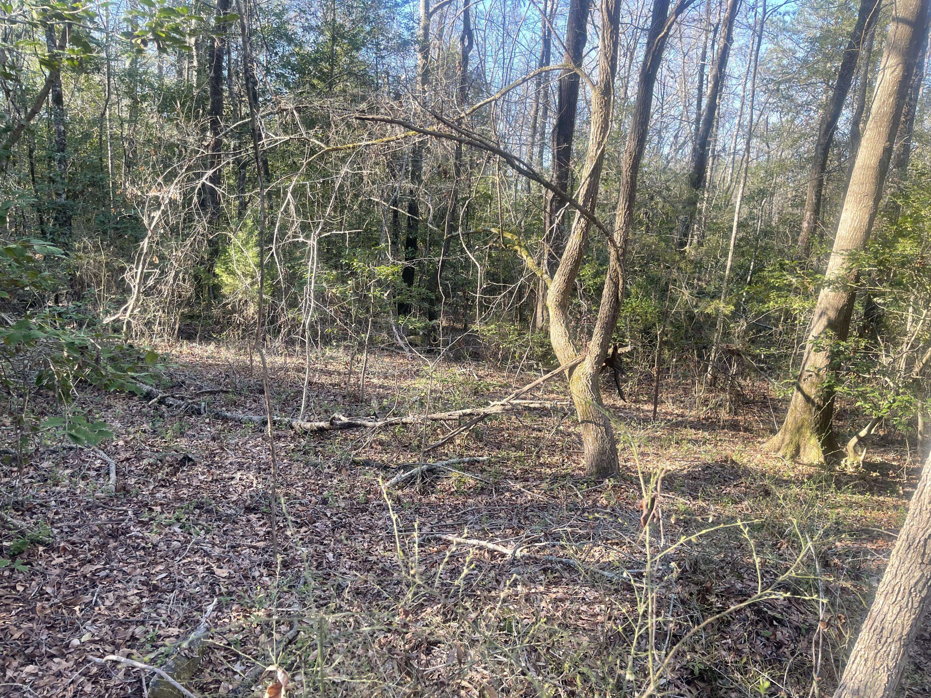 Thomson, GA 30824,544 OLD MILLEDGEVILLE RD