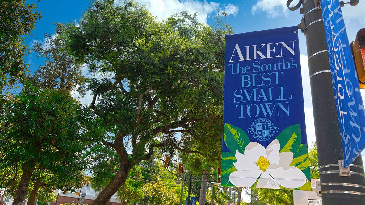 Aiken, SC 29803,3090 FANCY TRAIL TRL