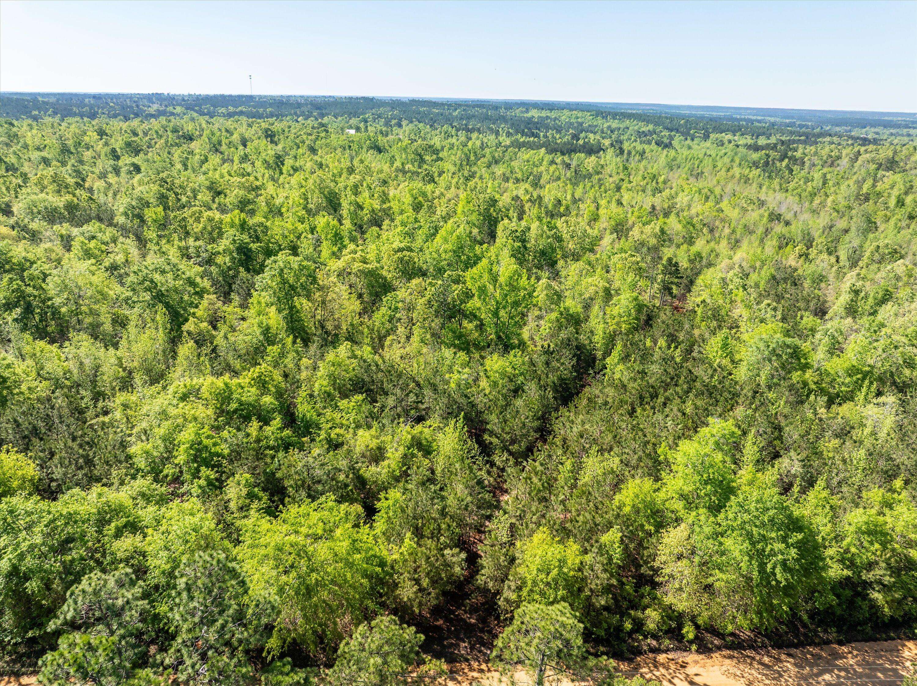 Dearing, GA 30808,0 WHITAKER RD