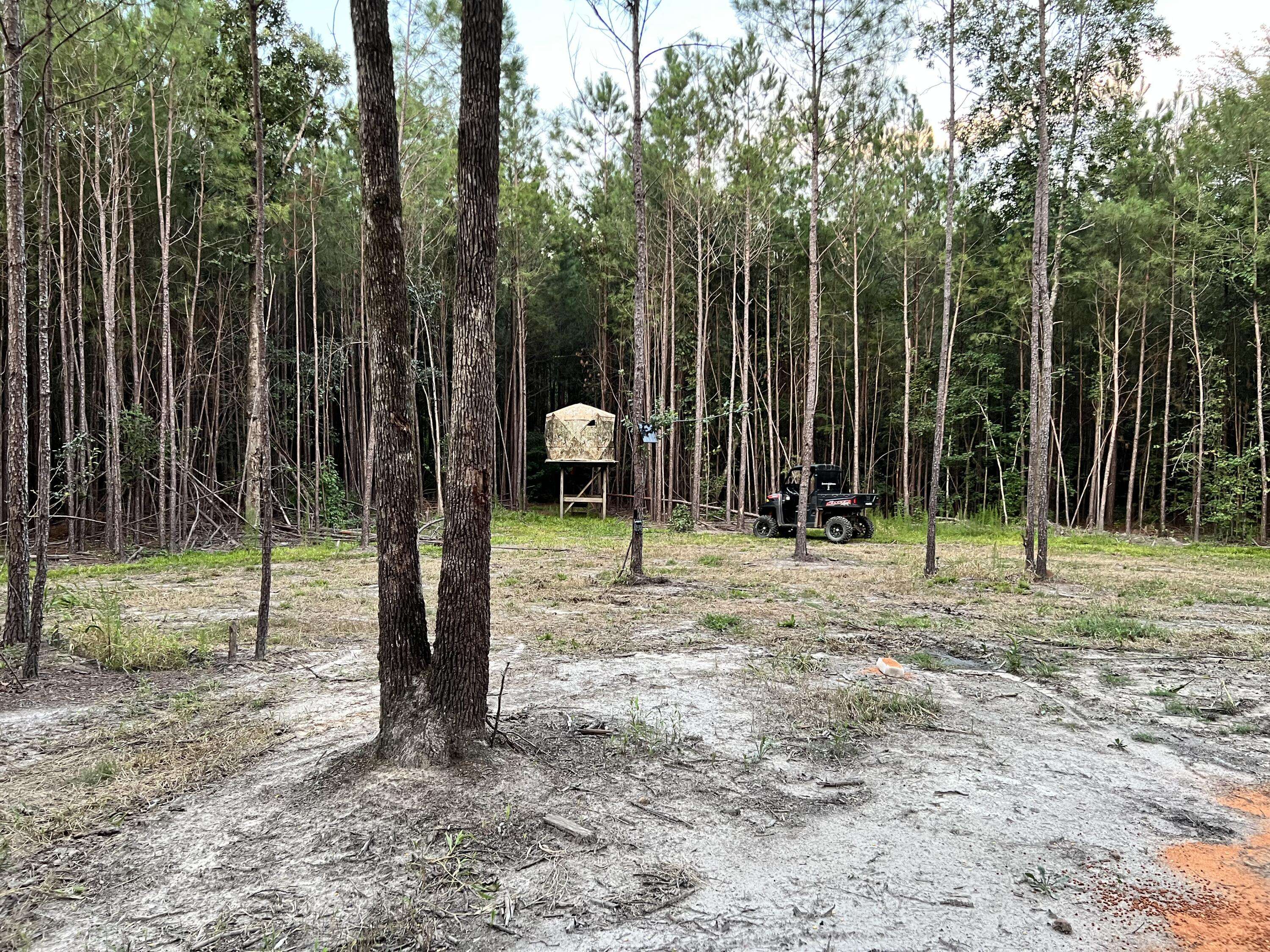 Wrens, GA 30833,3895 GA-88