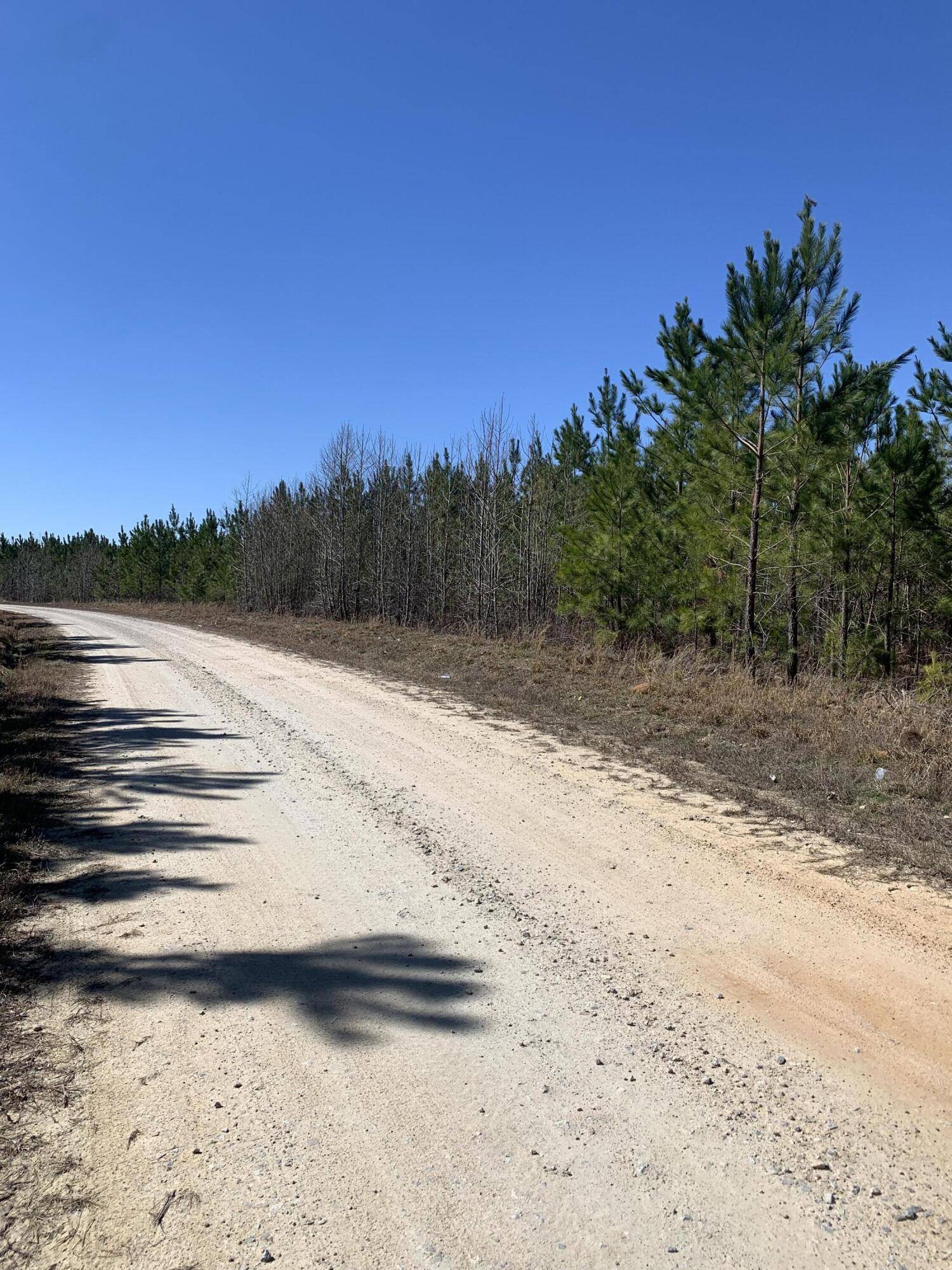 Mccormick, SC 29835,0 MOTON MOORE RD