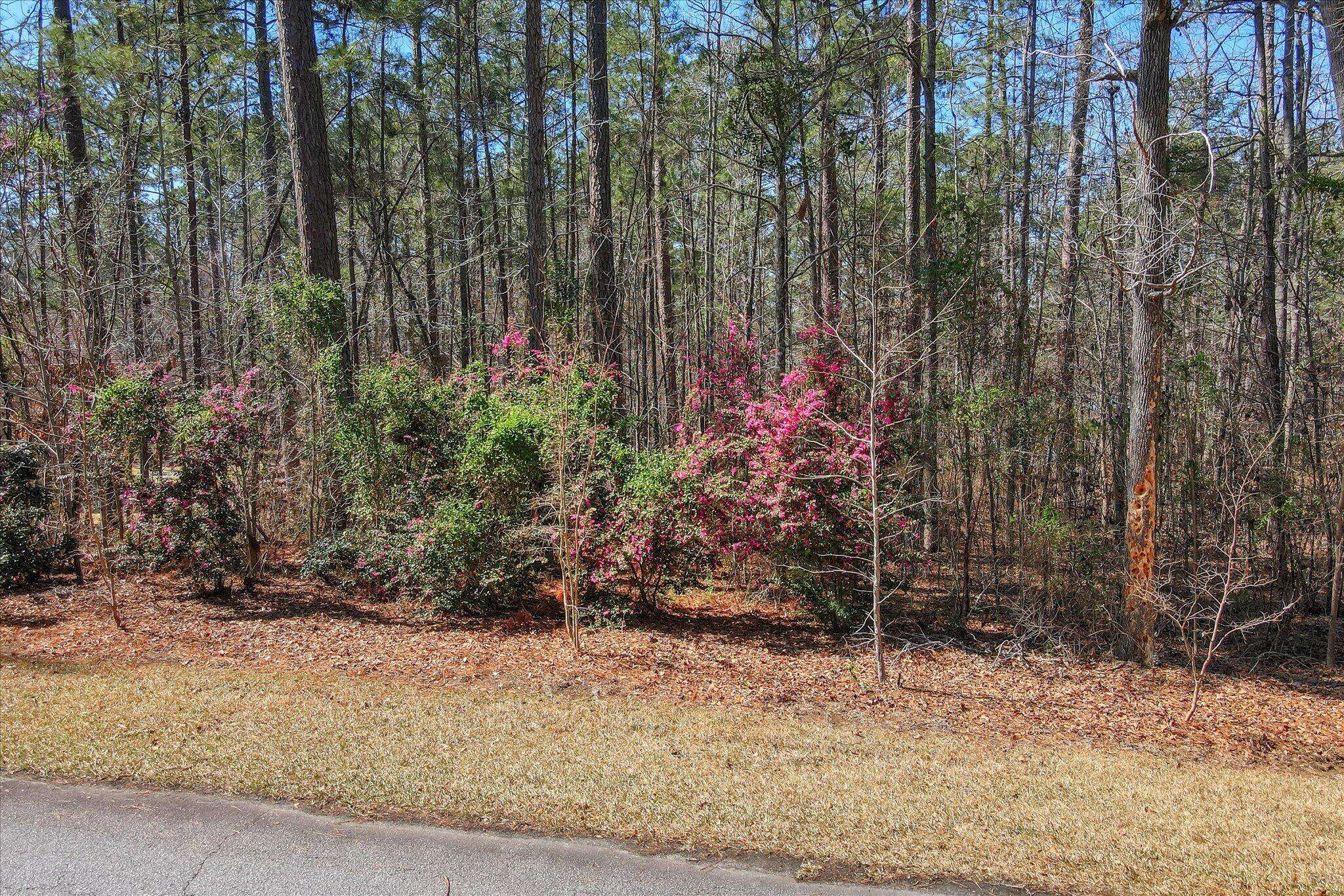 Mccormick, SC 29835,L28 B 3 Bereau Dr DR