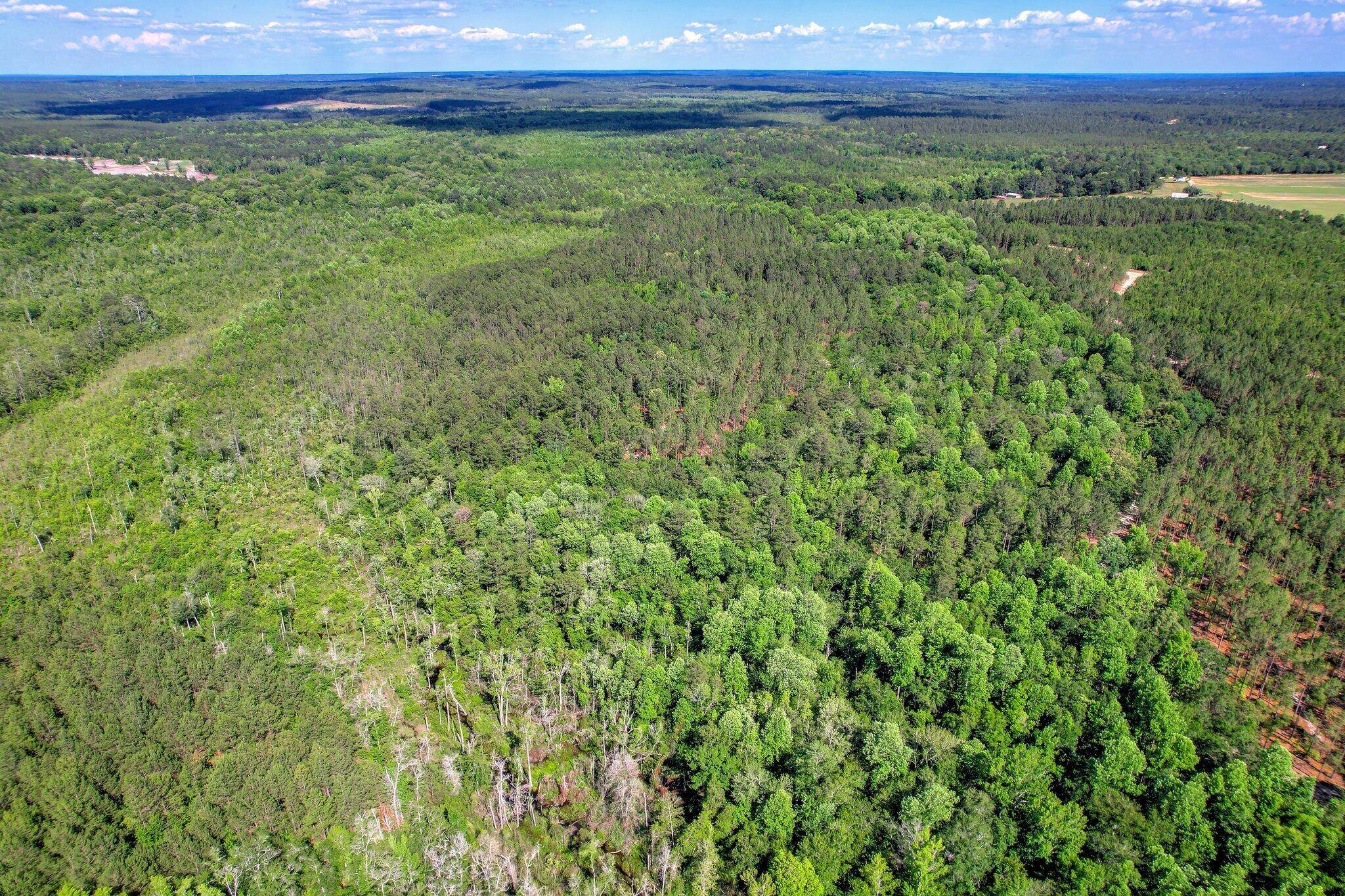 Ridge Spring, SC 29129,420 Acres N Columbia HWY N