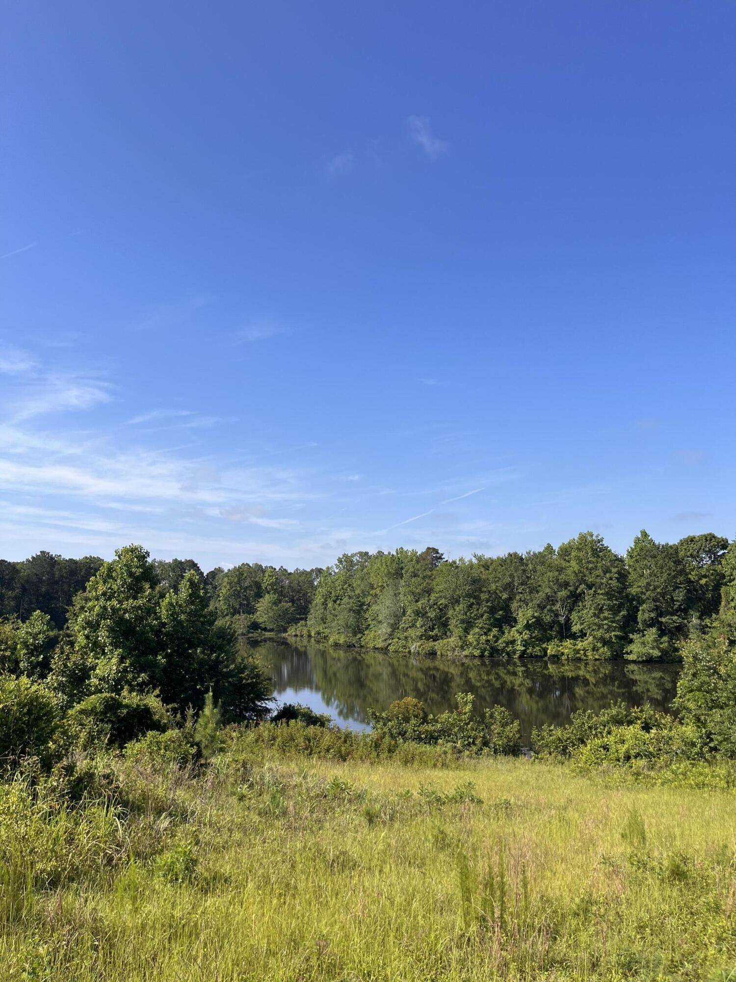 Trenton, SC 29847,18 Billy DR