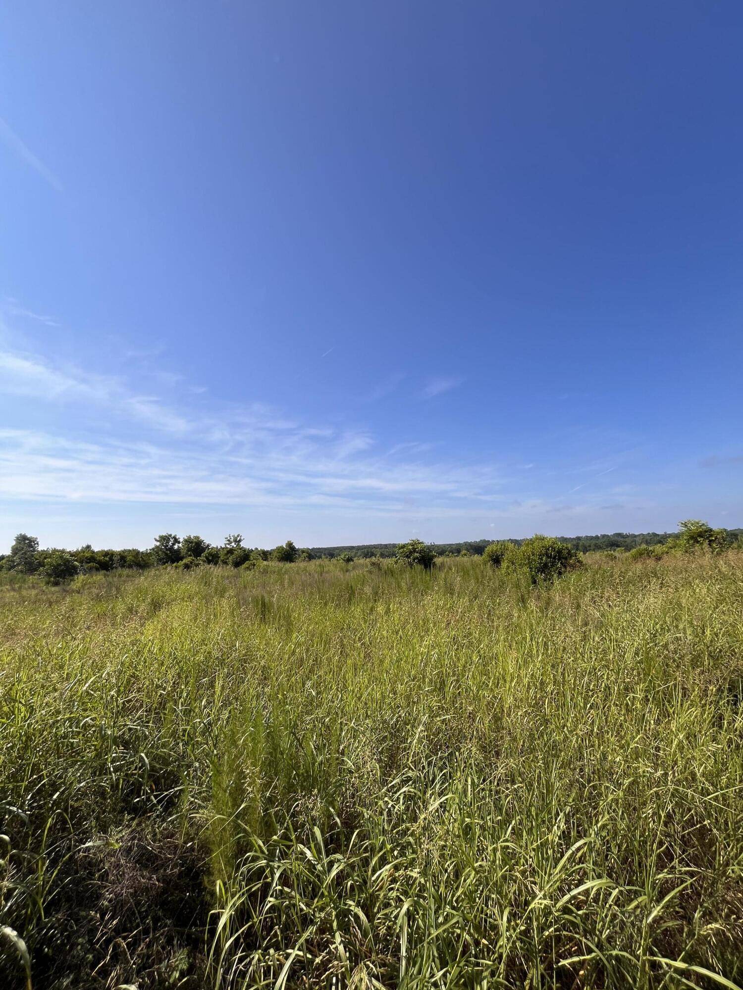 Trenton, SC 29847,128 Paces Creek RD