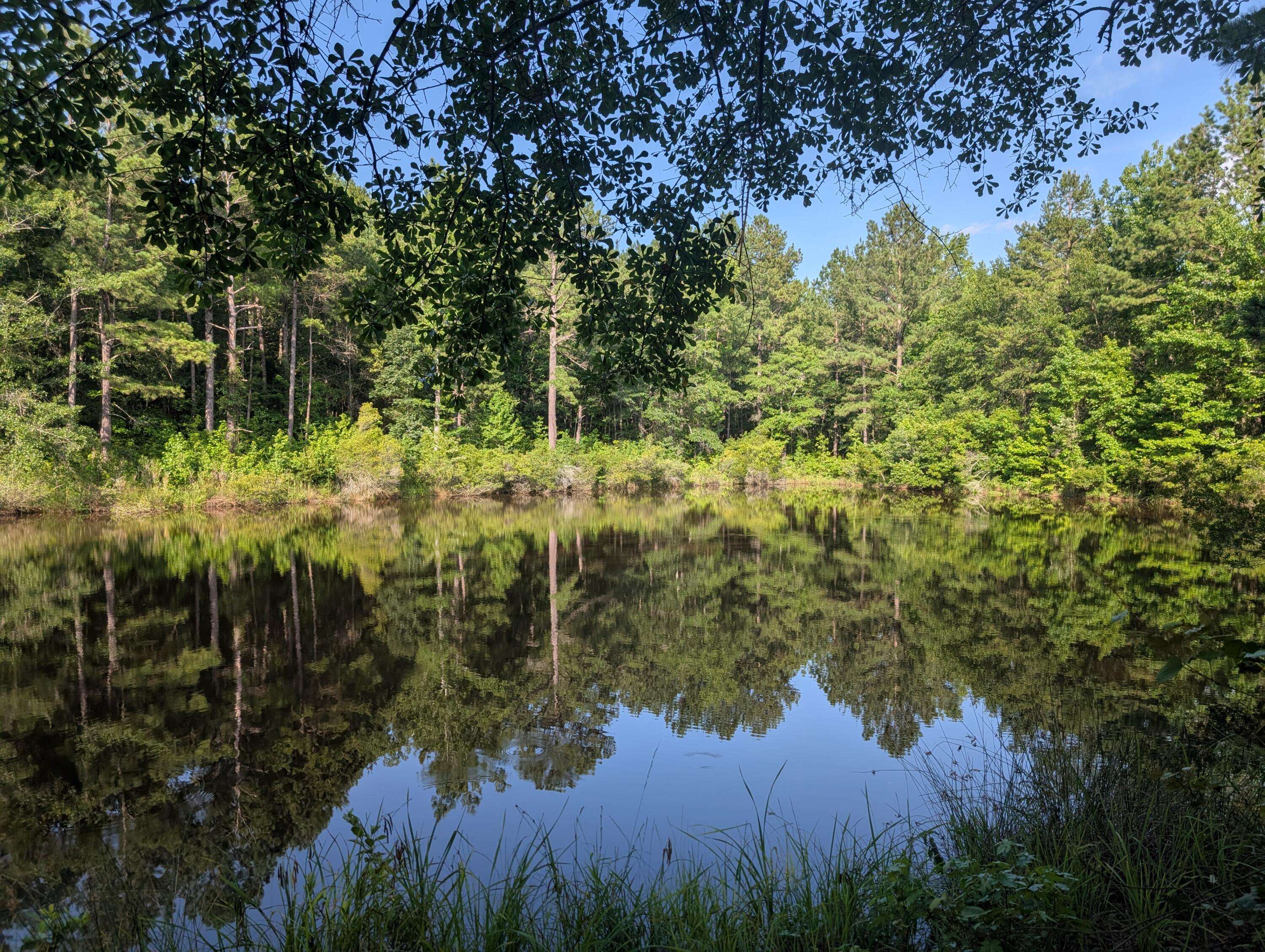 Appling, GA 30802,Lot 1 Marshall RD