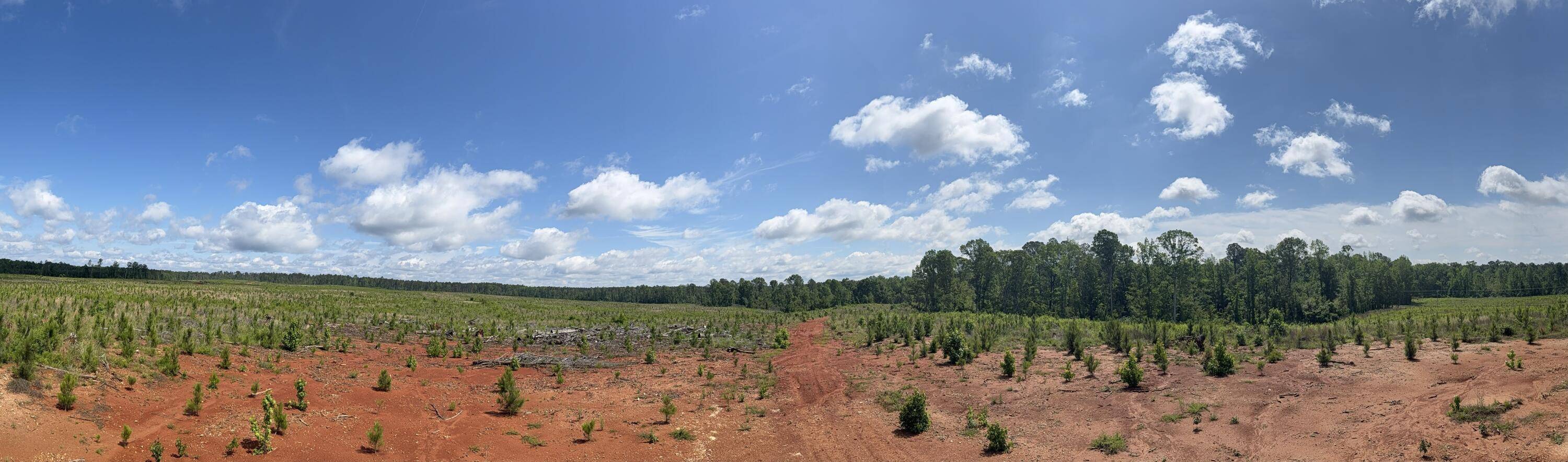 Edgefield, SC 29824,300 Hwy 378