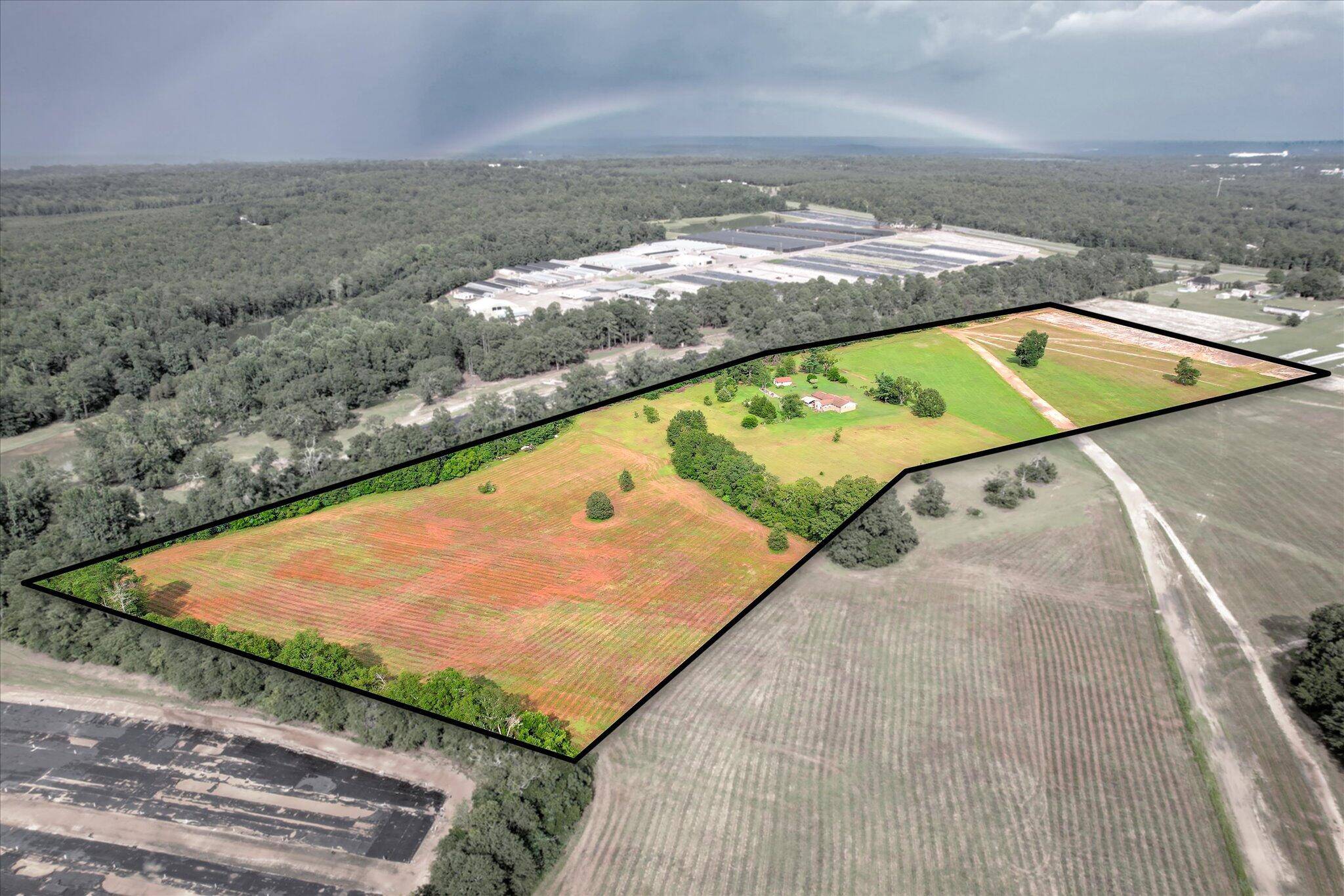 Trenton, SC 29847,26b Flower SQ