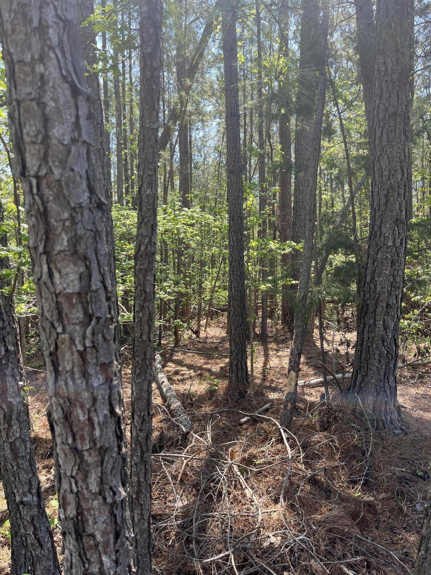 Mccormick, SC 29835,L14 B39 Antioch DR