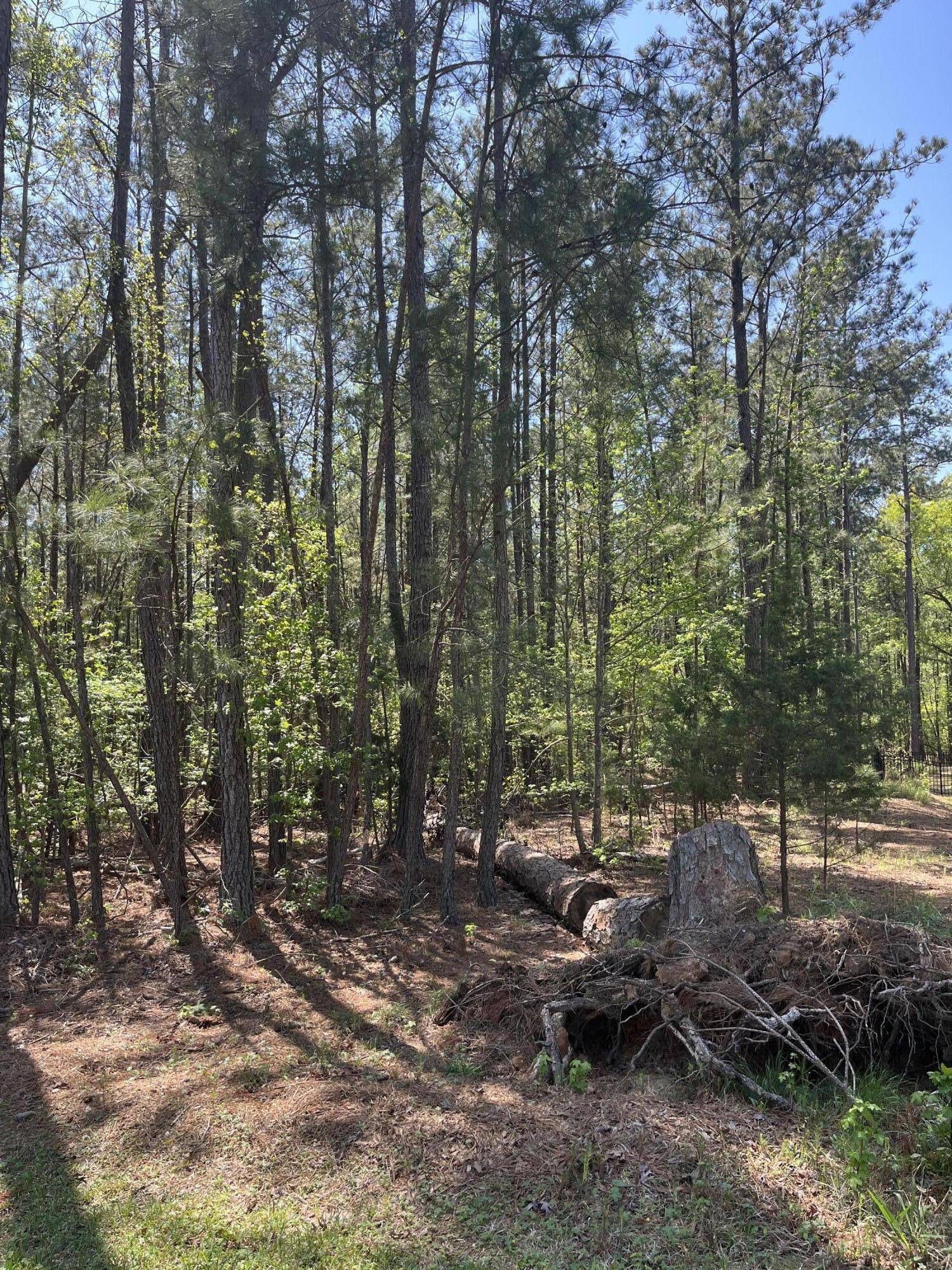 Mccormick, SC 29835,L14 B39 Antioch DR