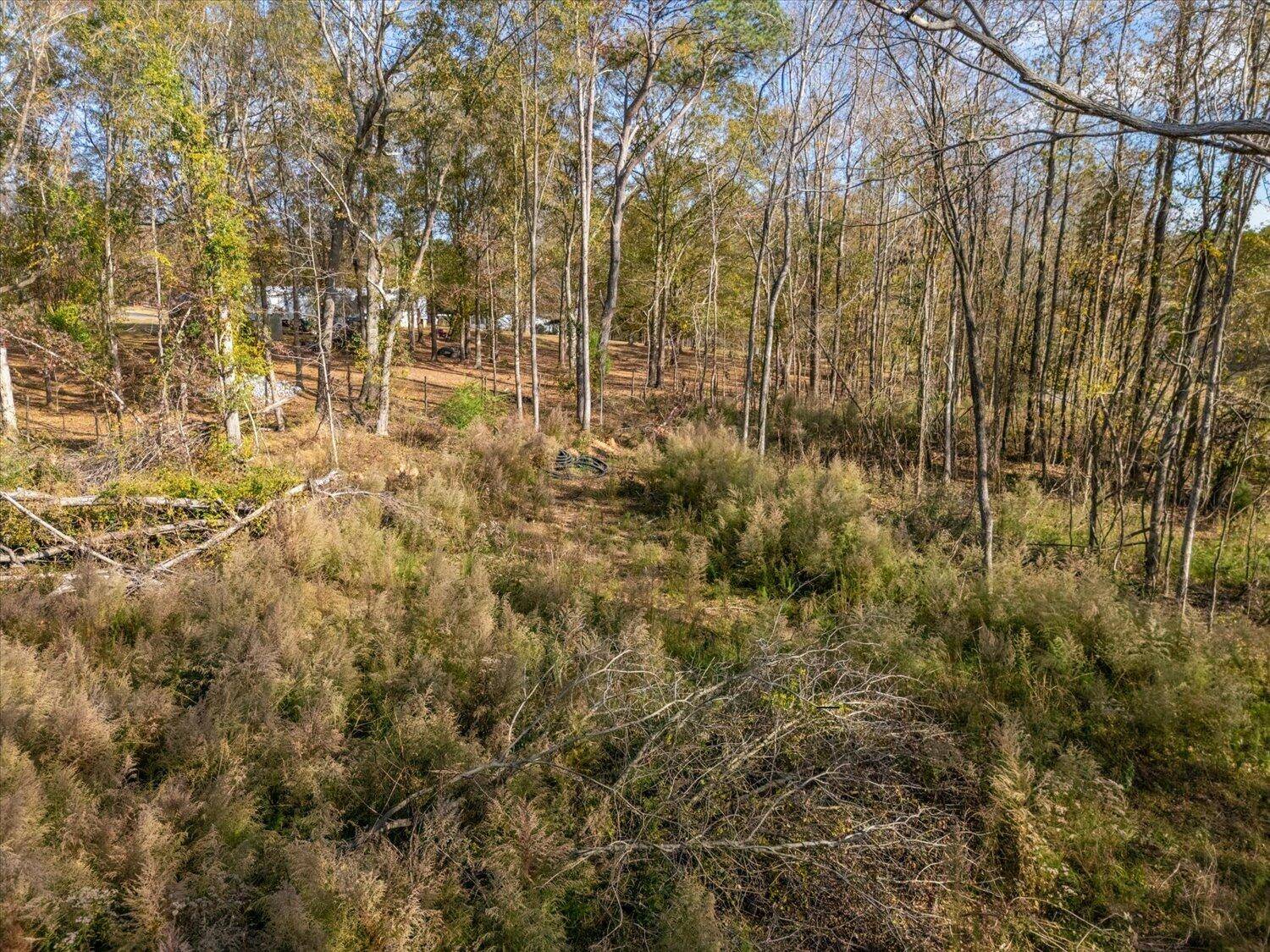 Trenton, SC 29847,106 State Hwy S-19-1207