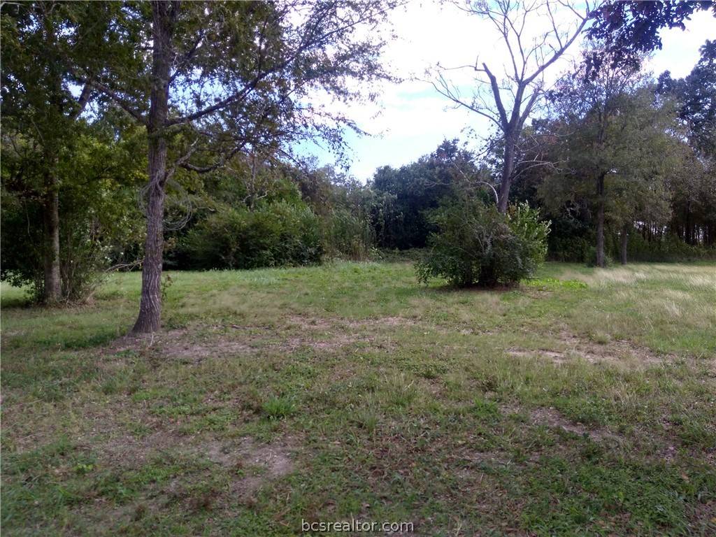 Navasota, TX 77868,Block 125 Lot 1 W Washington AVE W