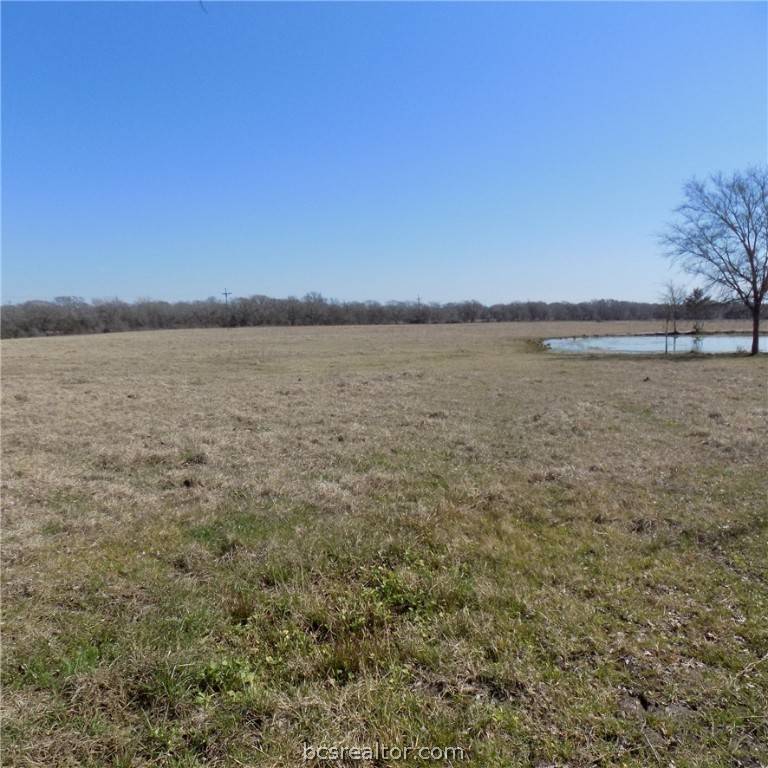 Bedias, TX 77831,TBD FM 39 Tract 3