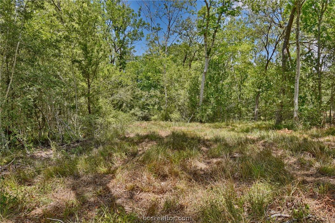 Chappell Hill, TX 77426,7634 Woodland Farms LN