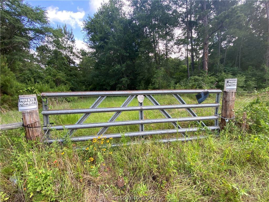 Waller, TX 77484,42.8 Acres Reids Prairie Rd