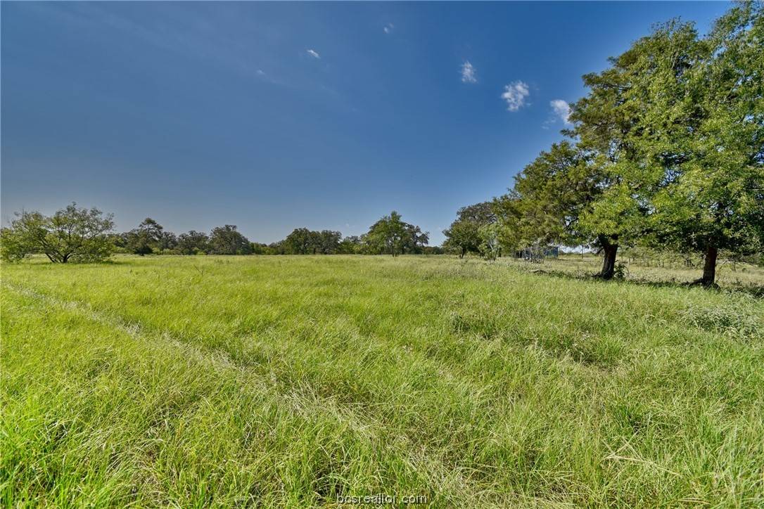 Other, TX 78662,1-23 (2 acres) Starlight PATH