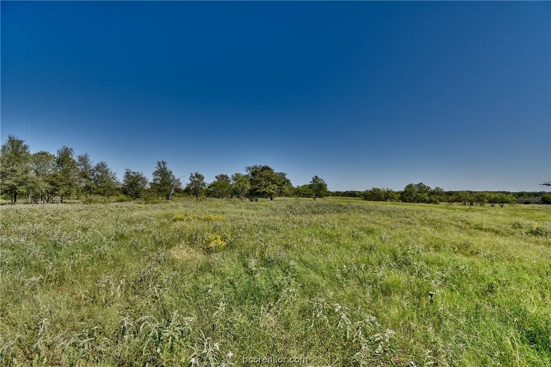 Other, TX 78662,1-23 (2 acres) Starlight PATH