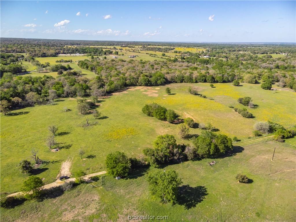 Caldwell, TX 77836,24 Acres Fm 1362/CR 371