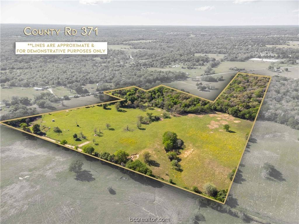 Caldwell, TX 77836,24 Acres Fm 1362/CR 371