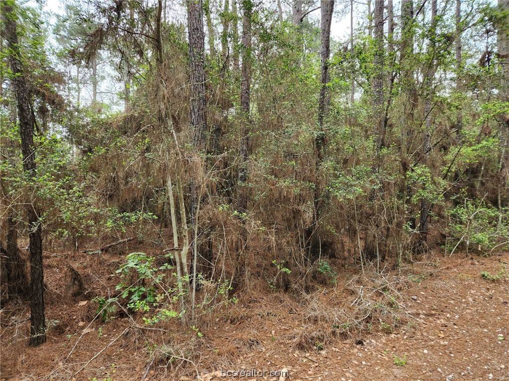Hempstead, TX 77445,Lot 25 North Council Dr.