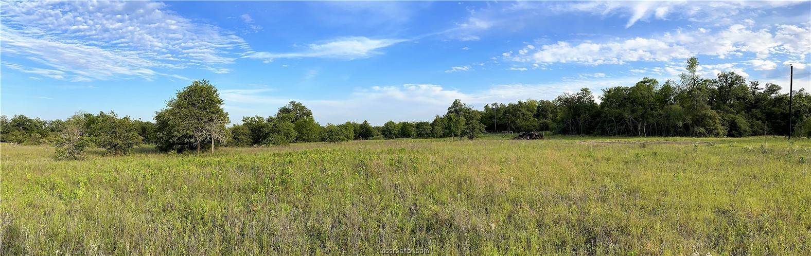 Franklin, TX 77856,Lot 6 TBD Maris LN