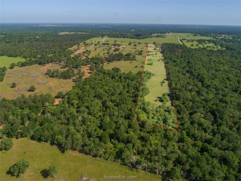 Bedias, TX 77831,TBD Red Hill Rd