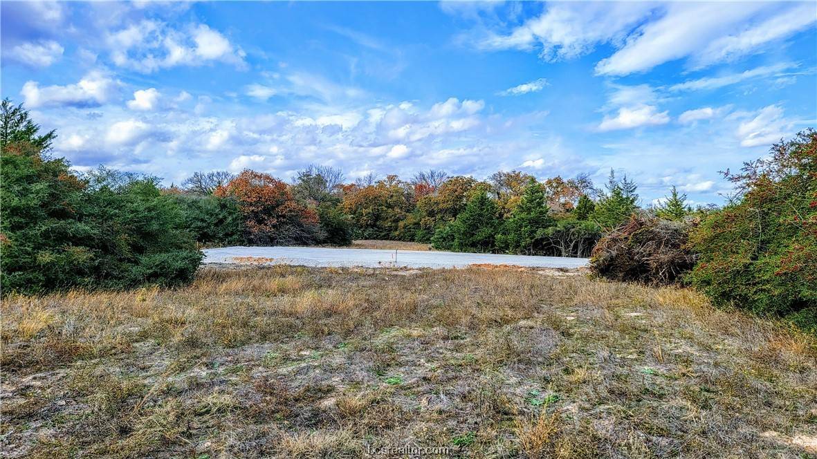 Franklin, TX 77856,Lot 2,3 & 4 Hampshire LN